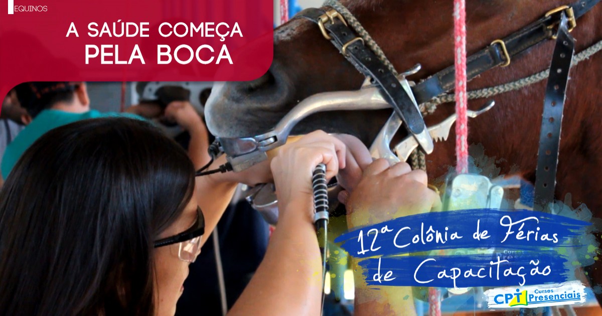 Curso De Odontologia Equina Cpt Cursos Presenciais Mais De Cursos